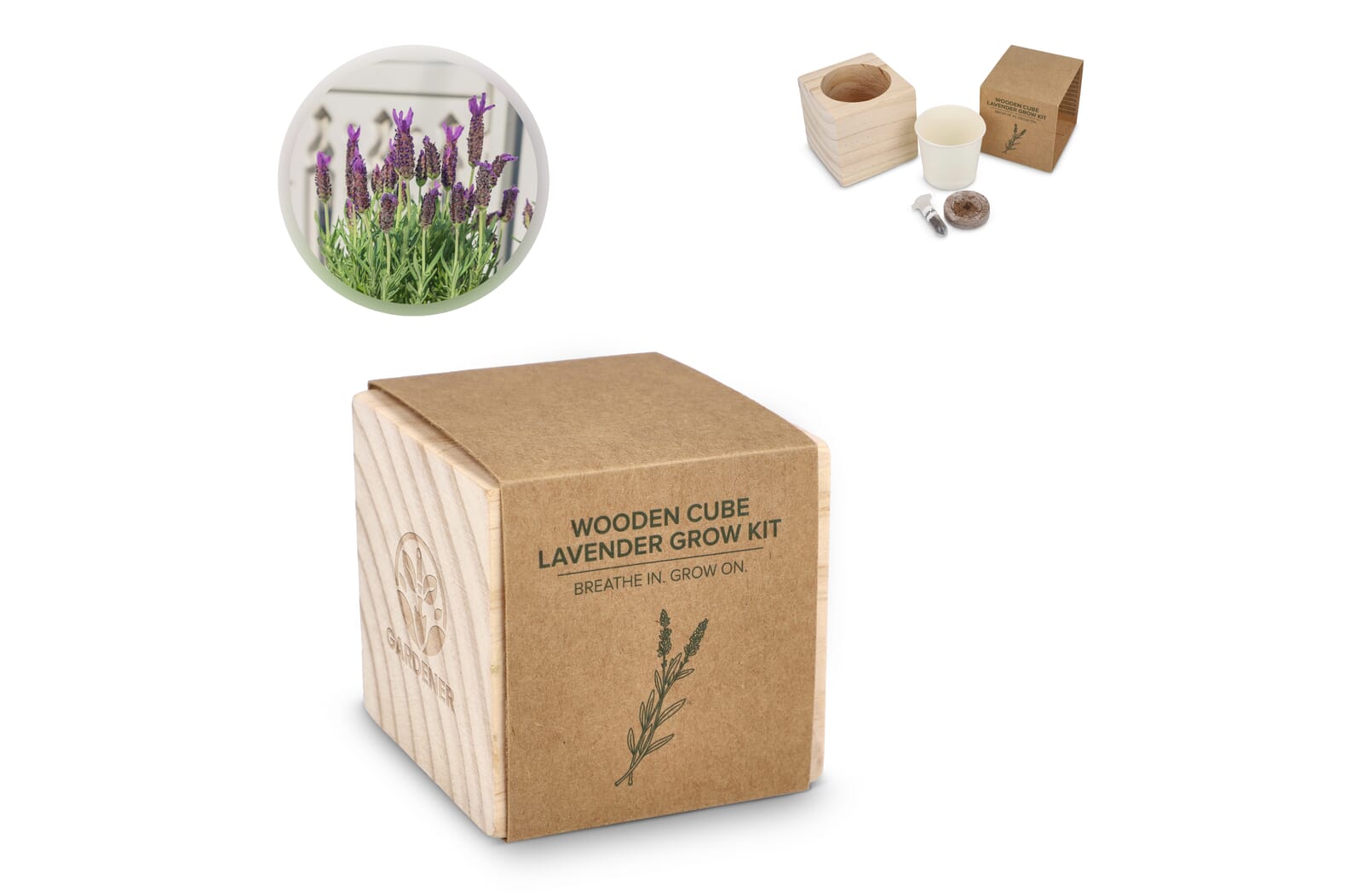 Træplantekasse Sæt - Lavendel Ro - Anne