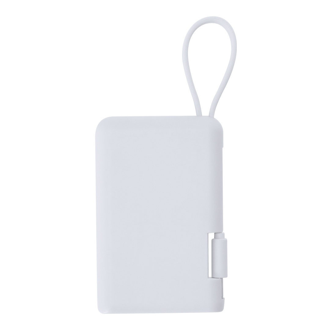 Powerbank Brandin