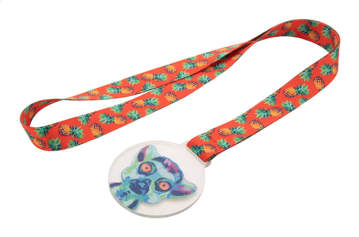 Farvestrålende specialmedalje - Hasle