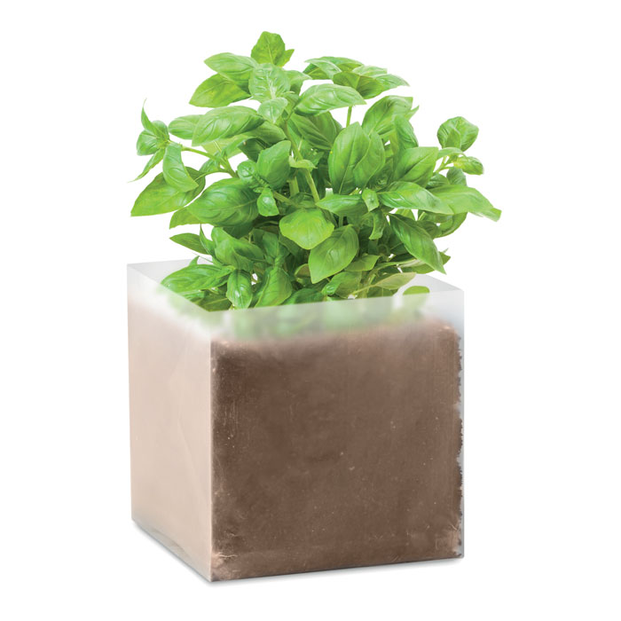 Basilus Substrat - Therese