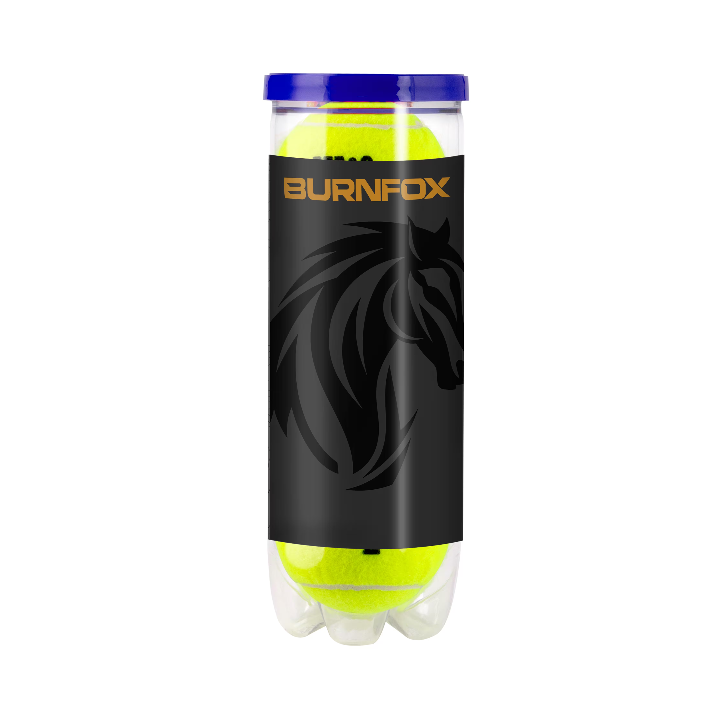 Wilson Roland Garros tennisbolde