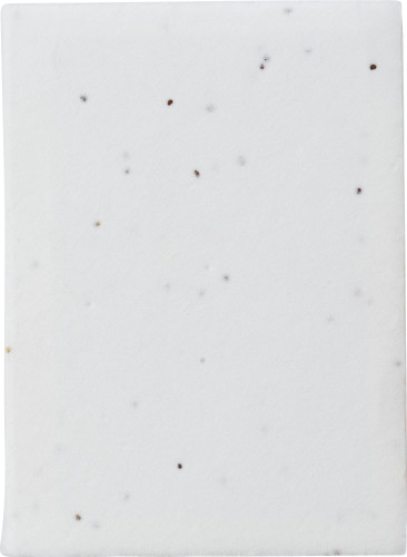 EcoSeed Klæbende Noter